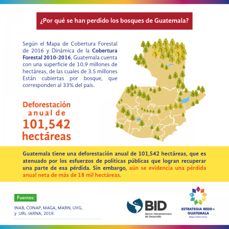 info1-Bosques-Guatemala-rrss-parte4